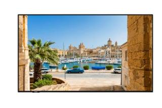 VESTEL- Afficheur professionnel 55   PN55D-HH